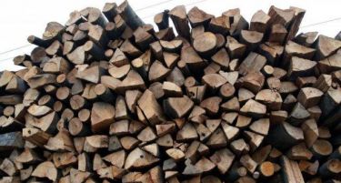 Зимата дојде, социјалата и пензионерите останаа без дрва за греење!