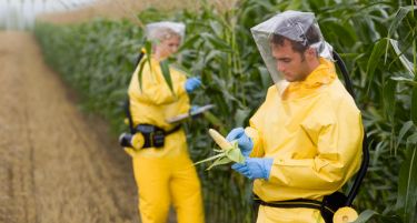 САД: Поразен Законот за обележување на ГМО производите