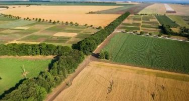 Јавен повик за закуп на државно земјоделско земјиште во Свети Николе