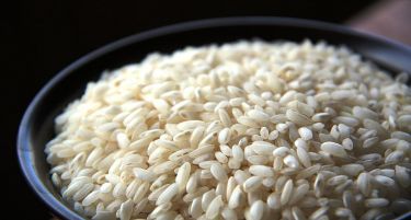 Со земјоделско здружување до повеќе ориз во Македонија