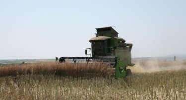 Нема да се намалува српскиот земјоделски буџет