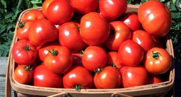 Албански краставици и бугарски домати ги преплавија пазарите, земјоделците бројат загуби!