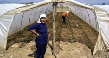 ИПИС: Граѓаните најзадоволни од странските инвестиции и земјоделските субвенции