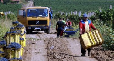 Средба на земјоделците во Струмица, ќе се разговара за договореното производство