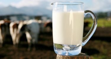 АХВ сеуште чека резултати дали увезенoто млеко на „Дукат“ е токсично