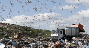 Заедно посилни, Делчево и Македонска Каменица во борба со отпадот