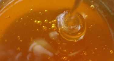 НЕКОЛКУ КЛУЧНИ ПРОБЛЕМИ: Еве што ги загрижува производителите на мед