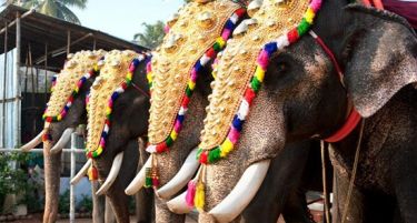 Индија ќе го поскапува данокот за најбогатите?