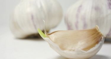 Шверц на лук во Норвешка вреден 10 милиони евра