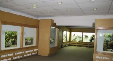 Италијанците донираат пари за Природонаучниот музеј на Македонија