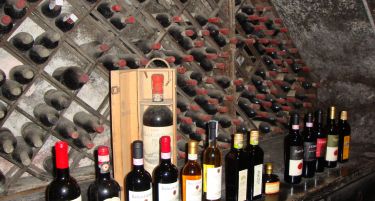 Германци градат винарска визба во Кавадарци, ќе откупат 10 милиони килограми грозје