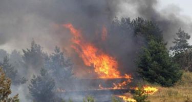 Молња предизвика пожар во Хвар