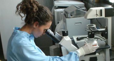 Романски клиники тргувале со јајце клетки!?