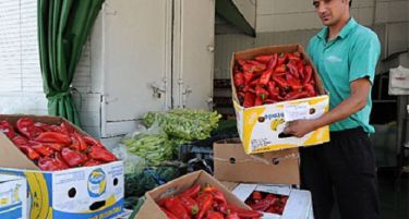 Извозот на овошје и зеленчук намален за 16% во првите три квартали лани
