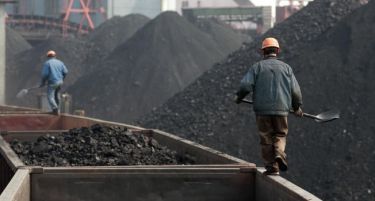 Кина троши јаглен колку цел свет