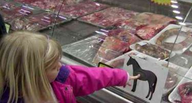 Чешка стопираше продажба на еден тон месо од Шведска со траги од коњска ДНК