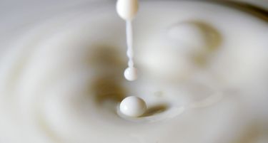 „Милкооп“ – прва кооператива за трговија со млеко