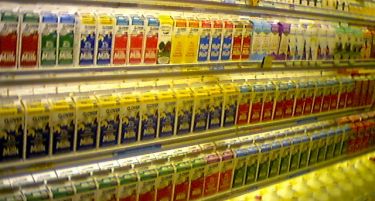 Од 1 април ЕУ ги укинува квотите за производство на млеко