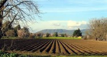 Земјоделските стопанства до 30 јуни да аплицираат за финансиска поддршка