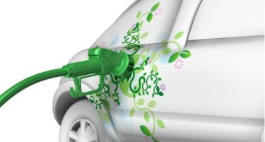 Хрватска од отровното млеко ќе создава биогорива!