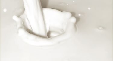 Црна Гора враќа 500 тони млеко