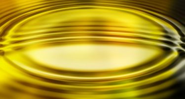 „Златна треска“ во Босна и Херцеговина