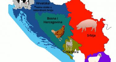 Македонија рекордер по број на овци меѓу земјите од поранешна Југославија