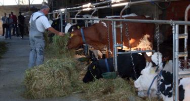Исплатени 3,5 милиони евра за субвенции на 7.807 млекопроизводители