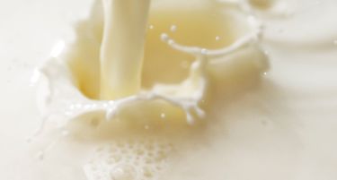 Производителите на млеко се обединуваат во кооперативата „Милкоп“