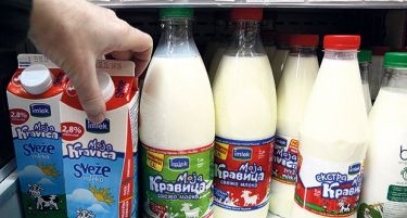 Ако сака во ЕУ, Србија мора да го намали процентот на афлатоксин во млекото!
