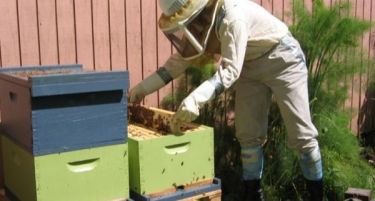 Виничките пчелари собираат словенечки искуства