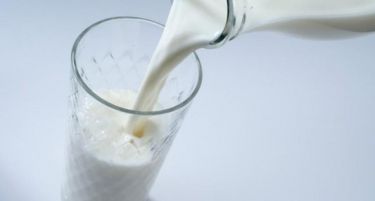 Продолжува падот на производството на млекото во Хрватска