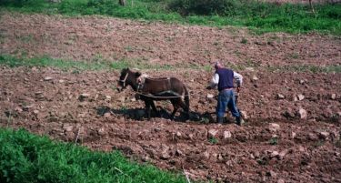Албанија го укина воведениот данок од 10 отсто за продажба на земјоделско земјиште