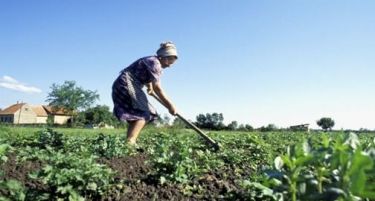 Со ИПАРД измените, можност за повеќе пари за земјоделците