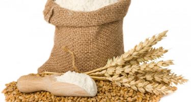 Останува одлуката за условен увоз на пченица, ќе се интензивира домашниот откуп
