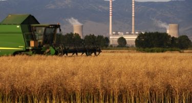Земјоделците загрижени, жетвата во Пелагонија одложена