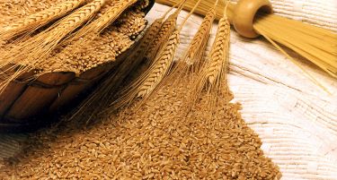 Oстанува на сила времената мерка за условен увоз на пченица и брашно во земјата
