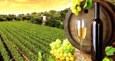 Извезени првите количини винско грозје од Тиквешијата