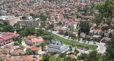 На продажба седум парцели градежно неизградено земјиште во Чешиново-Облешево