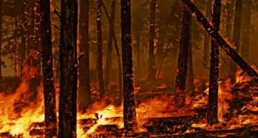 ПОВТОРНО ГОРИ: Нови пожари во околината на Велес