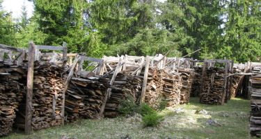Цената на огревното дрво иста како лани, но нема да има поволности за социјалците