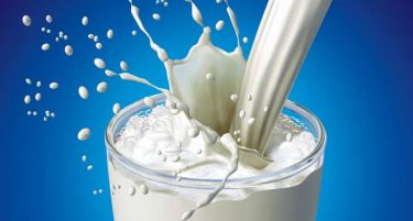 Свежо или кондензирано – какво млеко пиеме?!