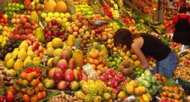 Во Охрид ќе никне откупен центар за овошје