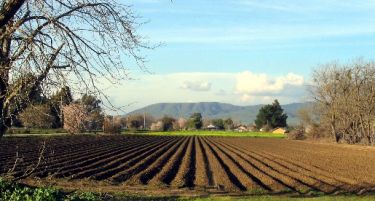 Половина од кумановските земјоделци побарале државни субвенции