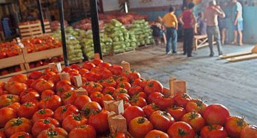 Косово ќе ја урне цената на зеленчукот и овошјето, земјоделците во паника!
