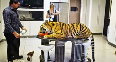 Јужноафриканскиот бизнисмен си купил милениче, тигар