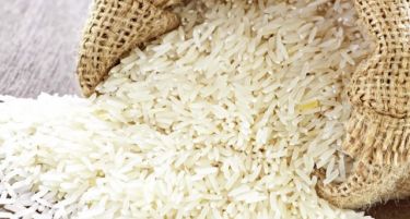 Стартува жетвата на оризот од турска сорта