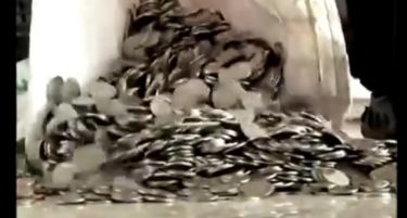 (ВИДЕО) Купил автомобил само со метални парички!