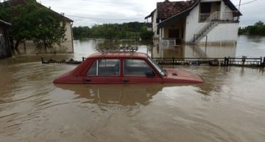 БиХ: Ќе се палат 150 тони угинати животни во поплавите!
