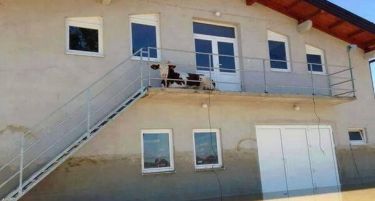 (ФОТО) Фотографијата која го освои Твитер